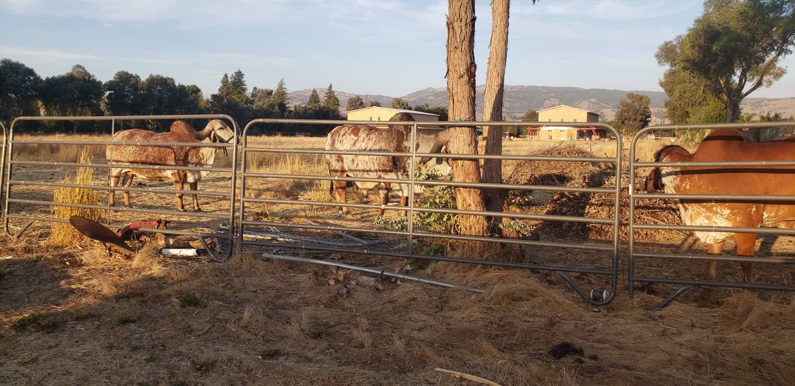 vvgc san martin loan program